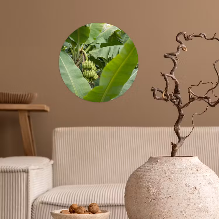 Behangcirkel - Eten - Bananen - Plantage - Groen — 2