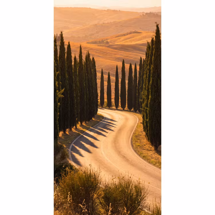 Behang - Landschap - Weg - Bomen - Natuur - Goud — 2