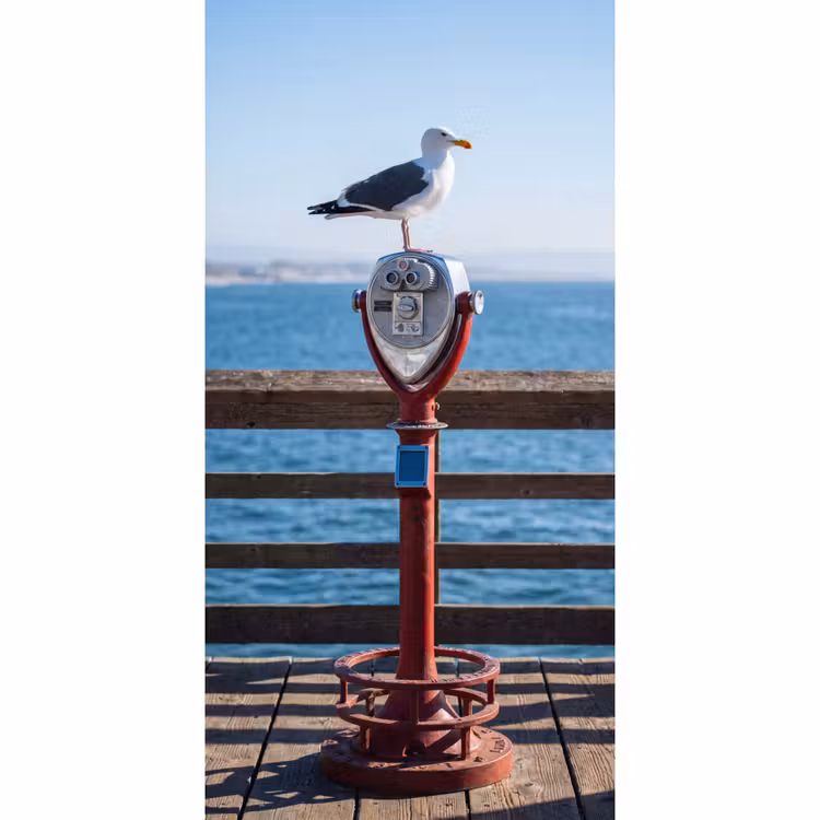 Behang - Vogel - Verrekijker - Kust - Zee - Blauw — 2