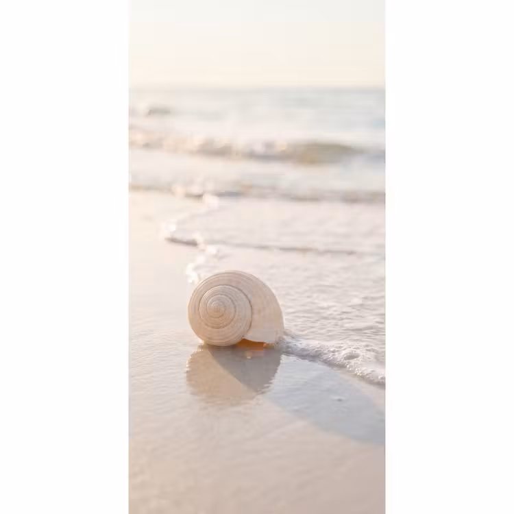 Behang - Zeeschelp - Strand - Zee - Natuur - Beige — 2