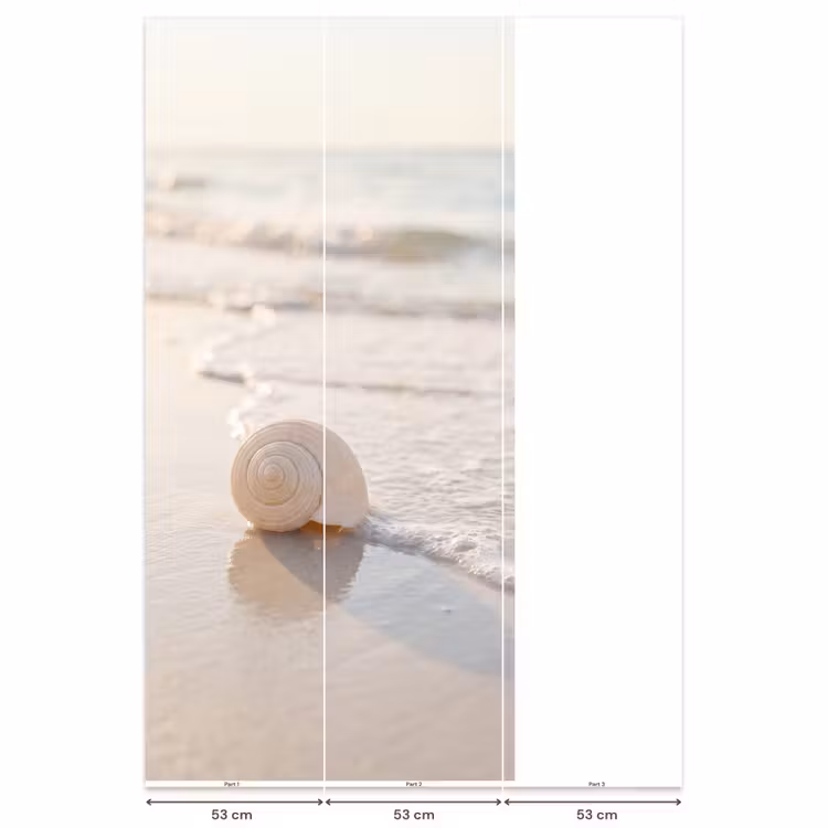 Behang - Zeeschelp - Strand - Zee - Natuur - Beige — 6