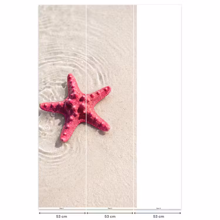 Behang - Zeeleven - Zeester - Strand - Roze - Water — 6