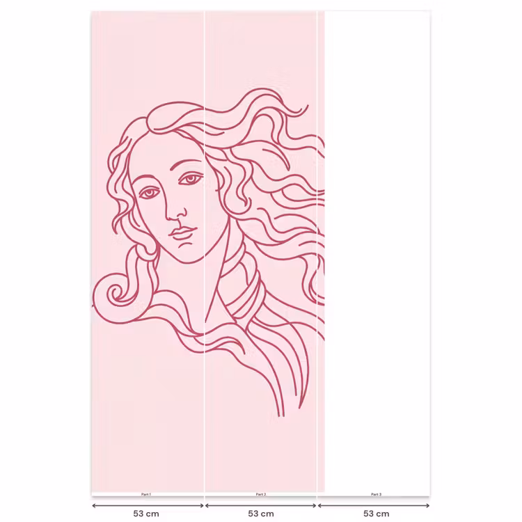 Behang - Vrouw - Portret - Klassiek - Line-art - Roze — 6