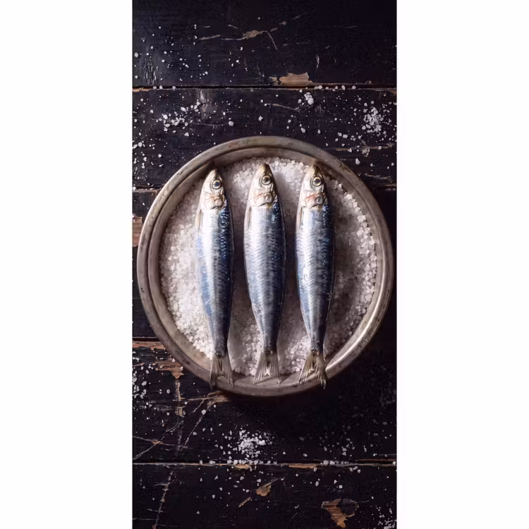 Behang - Vis - Zout - Eten — 2