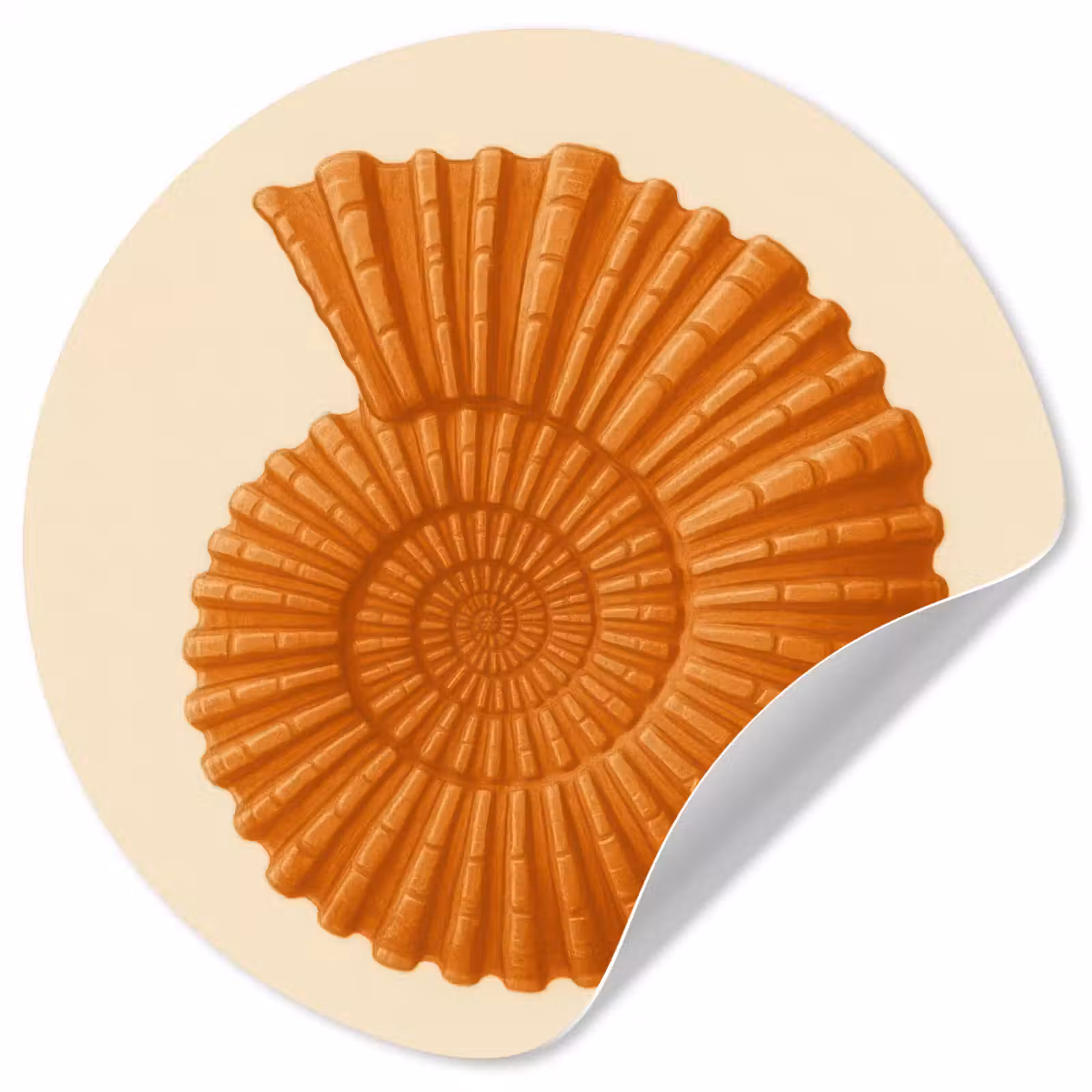 Behangcirkel - Schelp - Oranje - Ribbels — 1
