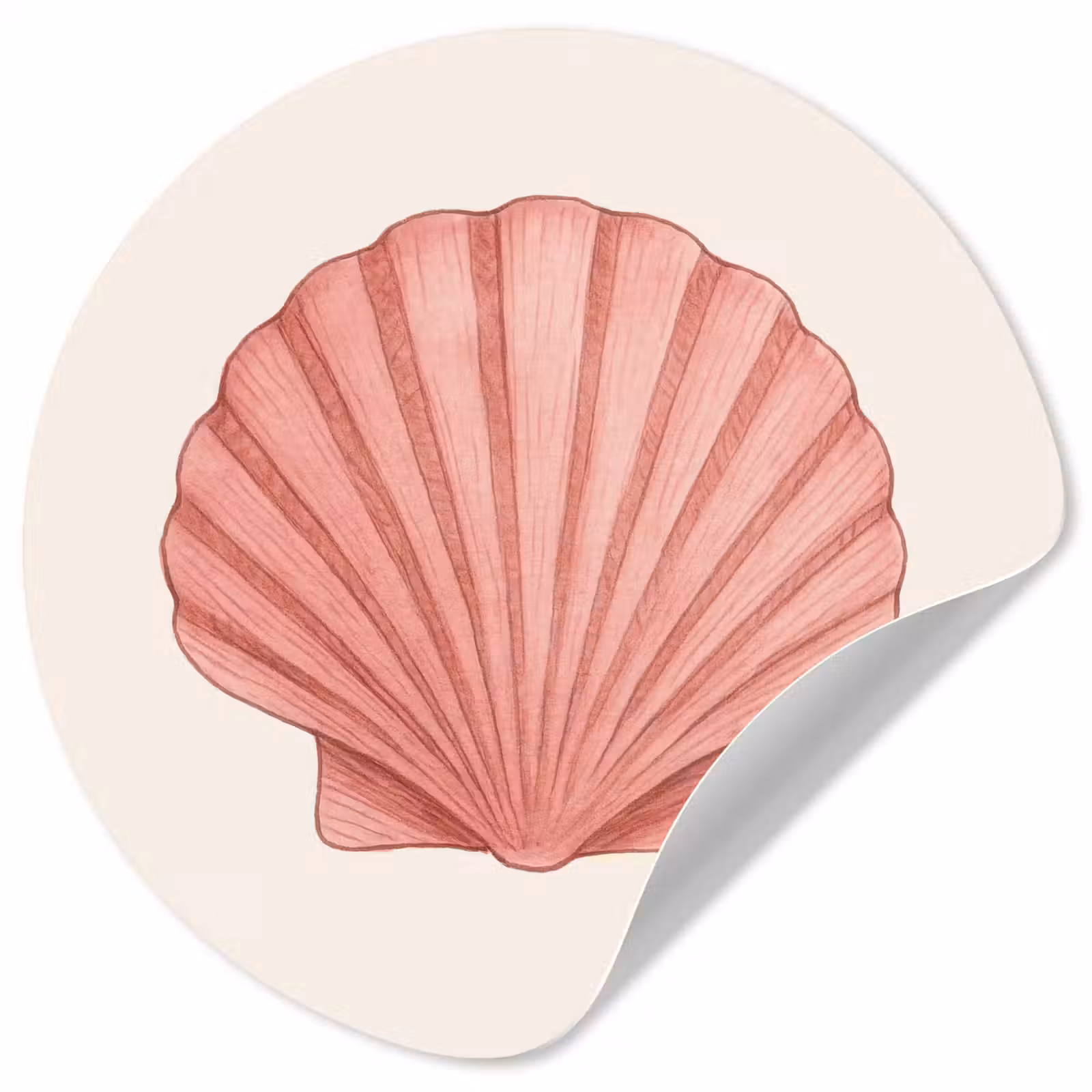 Behangcirkel - Schelp - Roze - Ribbels — 1
