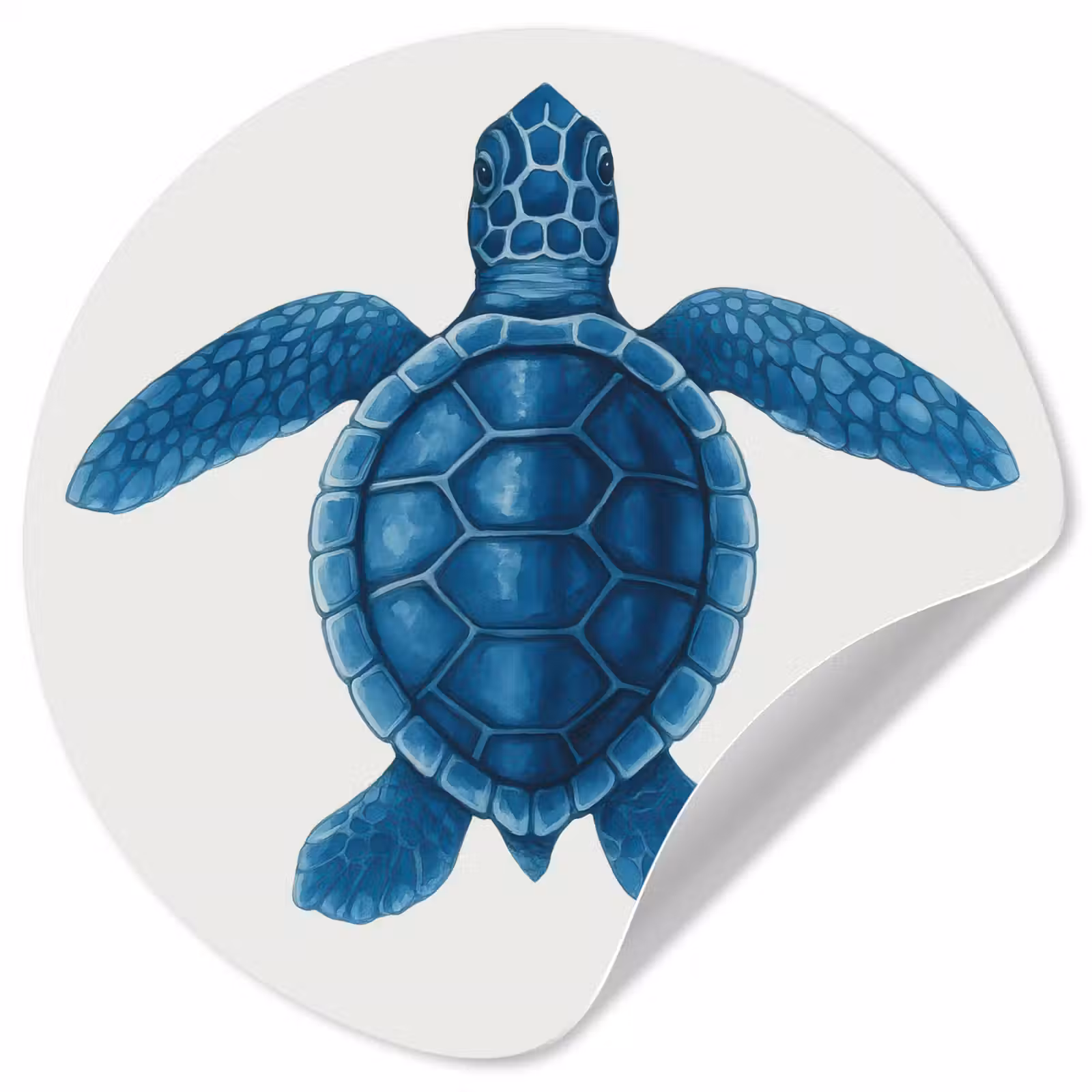 Behangcirkel - Schildpad - Blauw - Schild — 1