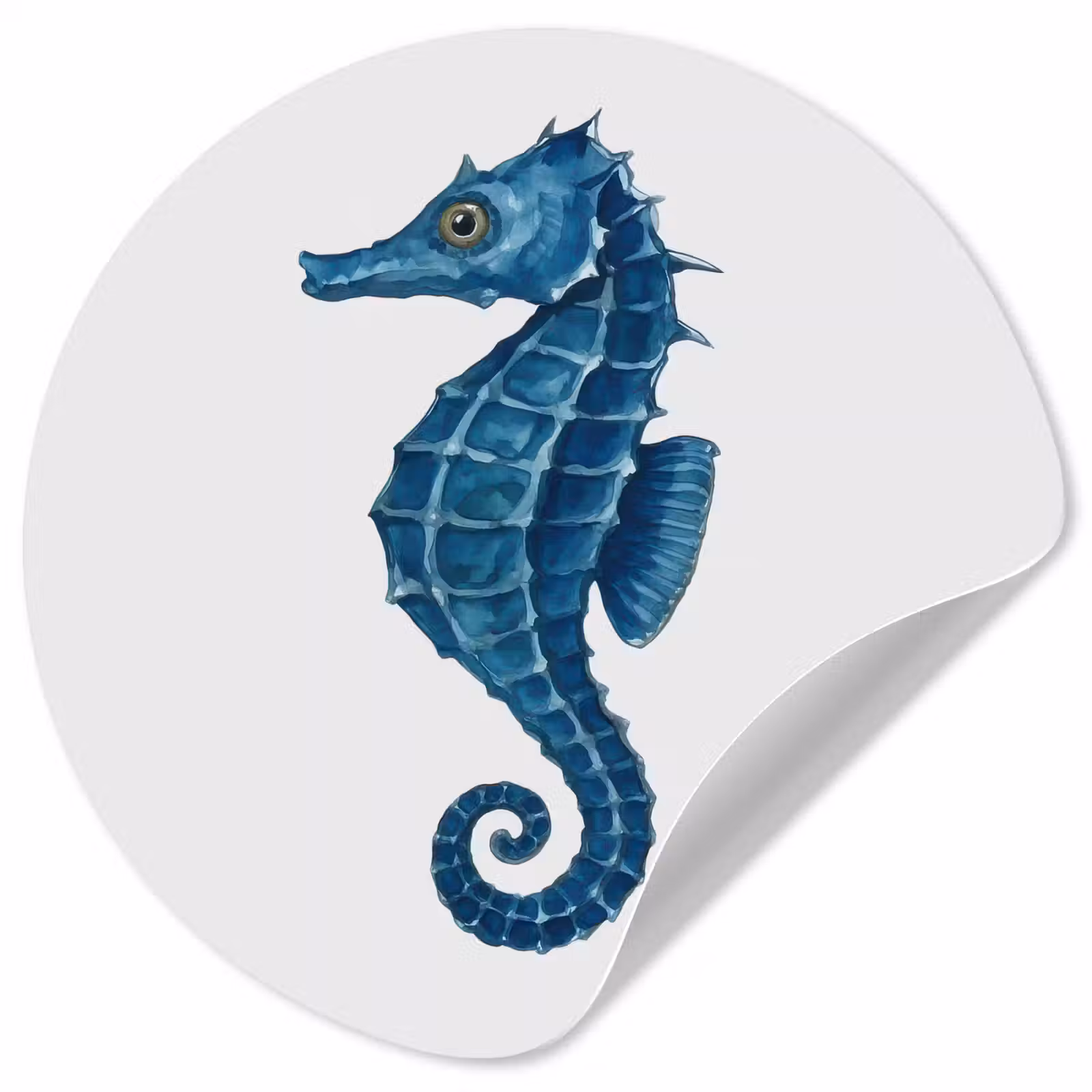 Behangcirkel - Zeepaardje - Staart - Blauw — 1