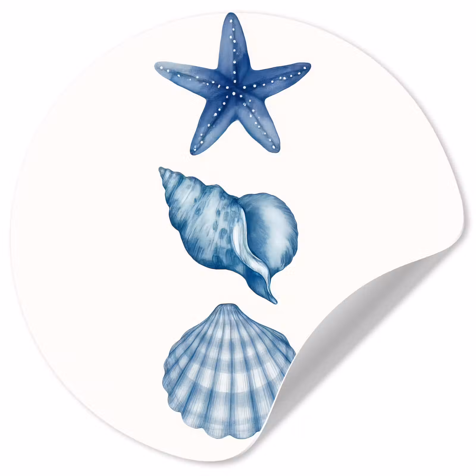Behangcirkel - Zeester - Schelpen - Blauw — 1