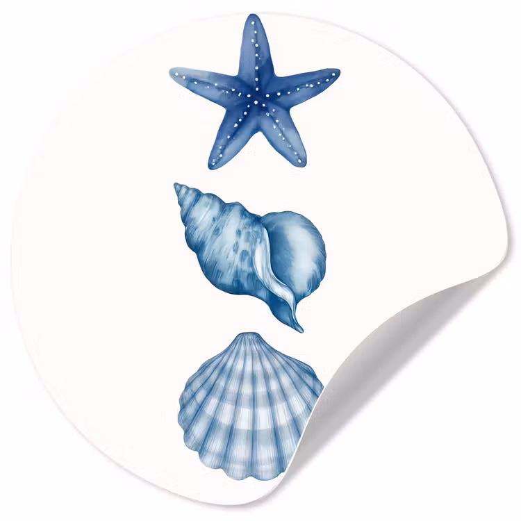 Behangcirkel - Zeester - Schelpen - Blauw — 1