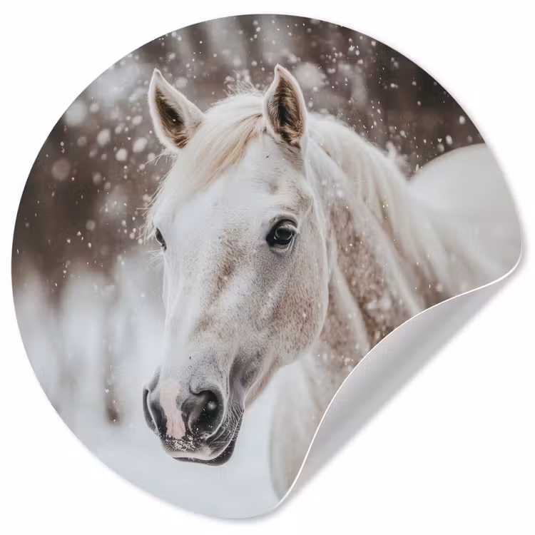 Behangcirkel - Paard - Wit - Winter - Natuur - Sneeuw - Dieren — 1