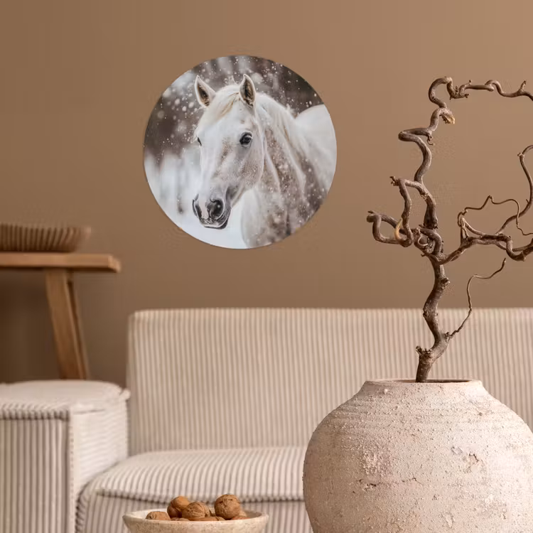 Behangcirkel - Paard - Wit - Winter - Natuur - Sneeuw - Dieren — 2