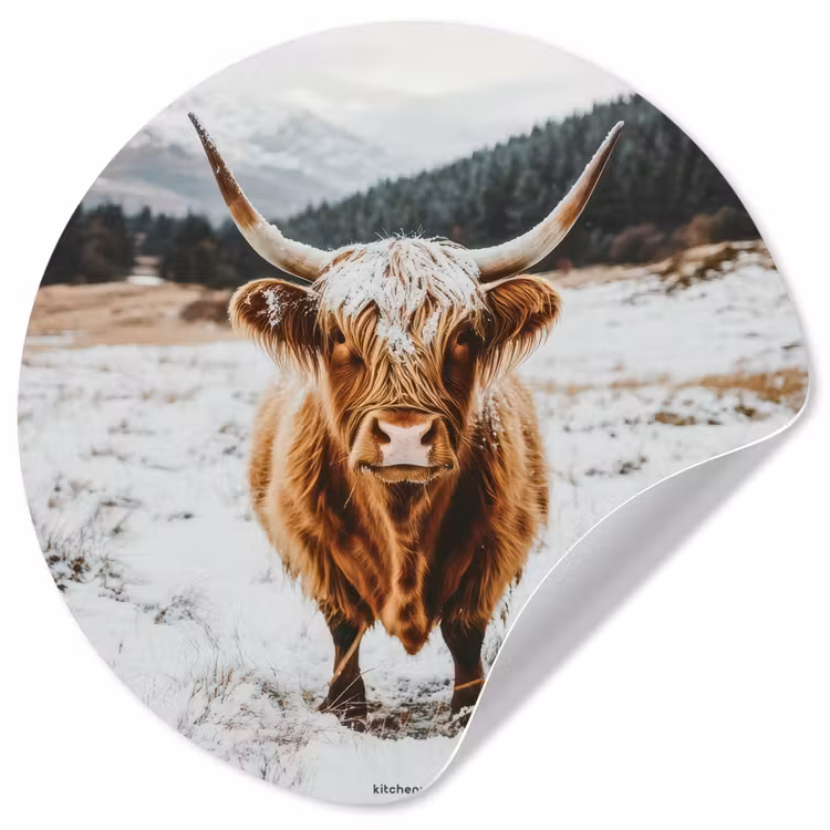 Behangcirkel - Schotse Hooglander - Sneeuw - Winter - Dieren — 1