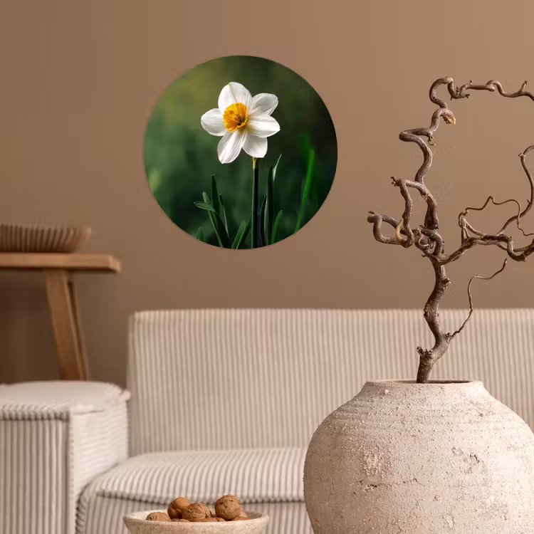 Behangcirkel - Narcis - Bloem - Wit - Grassprieten — 2