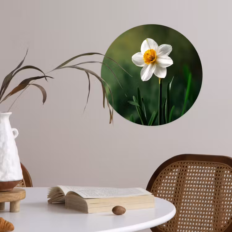 Behangcirkel - Narcis - Bloem - Wit - Grassprieten — 4