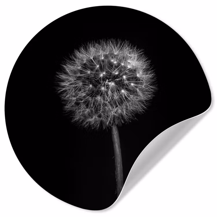 Behangcirkel - Paardenbloem - Zwart - Bloemen - Botanisch — 1