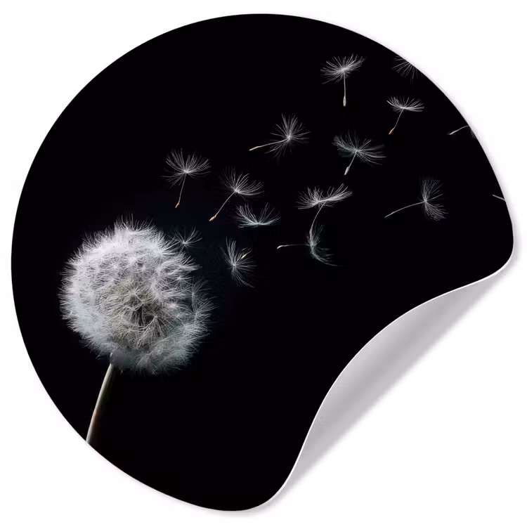 Behangcirkel - Paardenbloem - Zwart - Natuur — 1