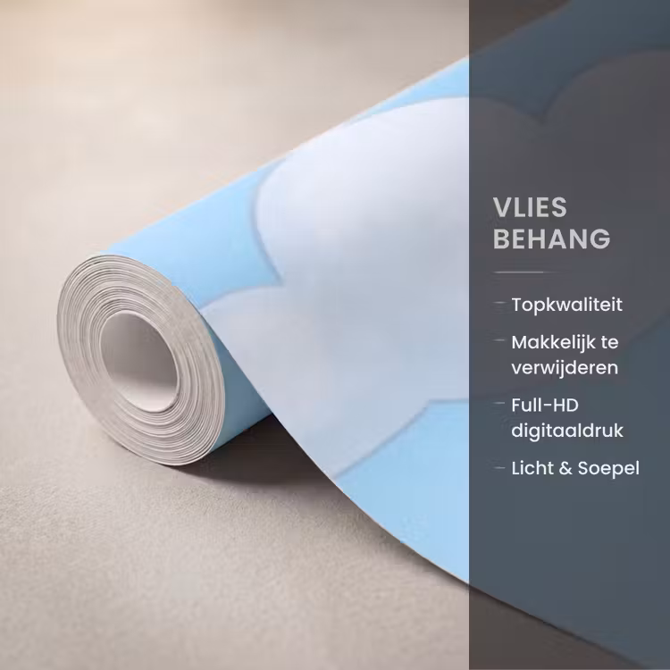 Behang - Vulkaan - Lava - Prehistorie — 3