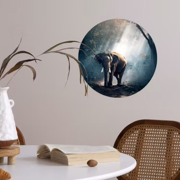 Behangcirkel - Olifant - Dieren - Licht - Bos - Natuur - Wilde dieren — 4