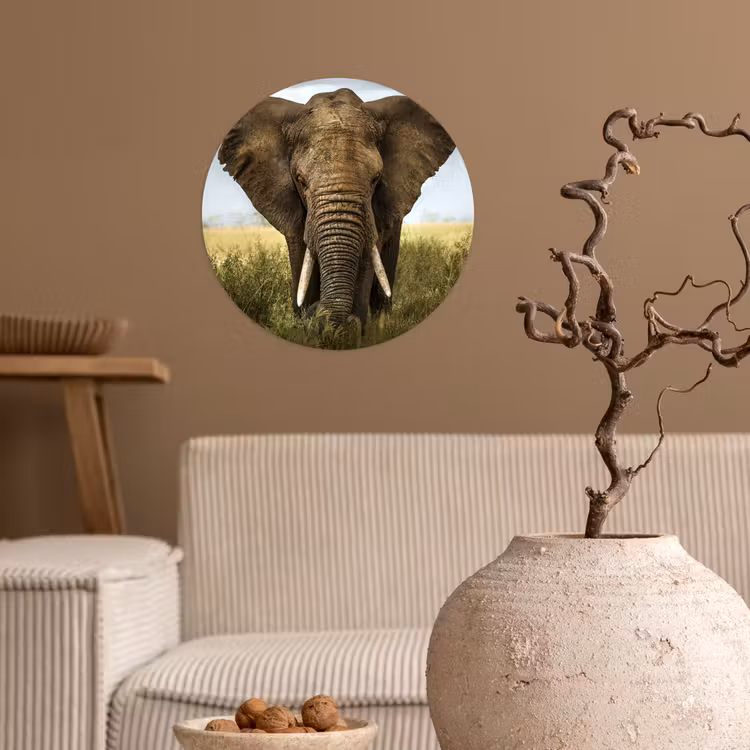 Behangcirkel - Olifant - Natuur - Gras - Dieren - Landschap — 2