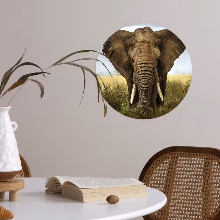 Behangcirkel - Olifant - Natuur - Gras - Dieren - Landschap — 4