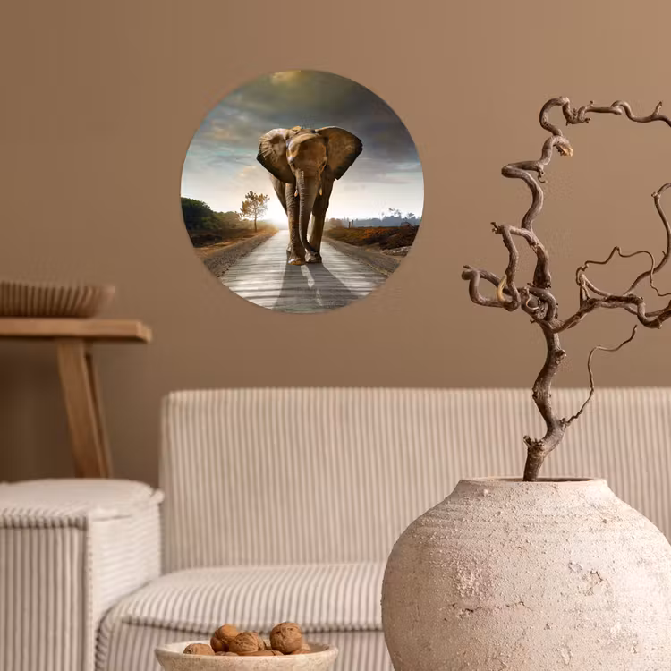 Behangcirkel - Olifant - Weg - Dieren - Zonsondergang - Landschap — 2