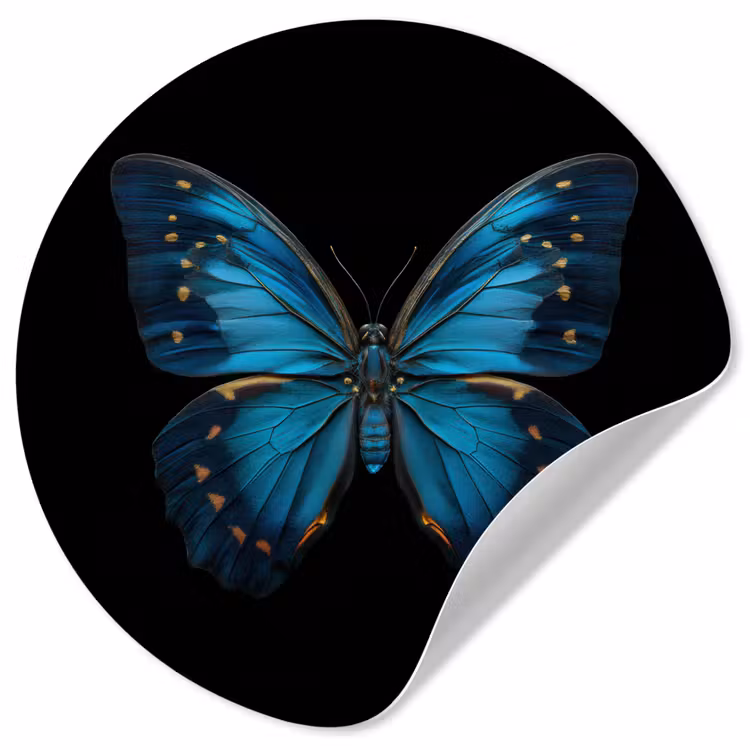 Behangcirkel - Vlinder - Blauw - Contrast — 1