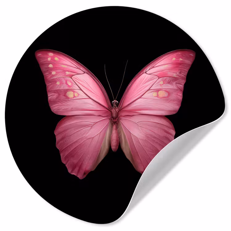 Behangcirkel - Vlinder - roze - Elegant — 1