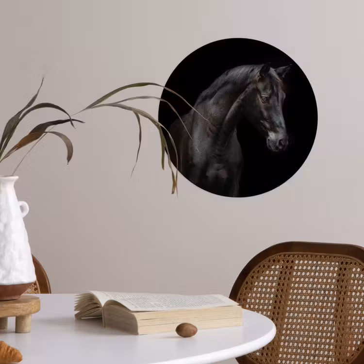Behangcirkel - Paard - Dieren - Zwart - Portret — 4