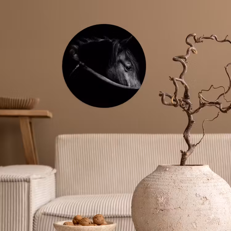 Behangcirkel - Paarden - Portret - Zwart - Dieren — 2