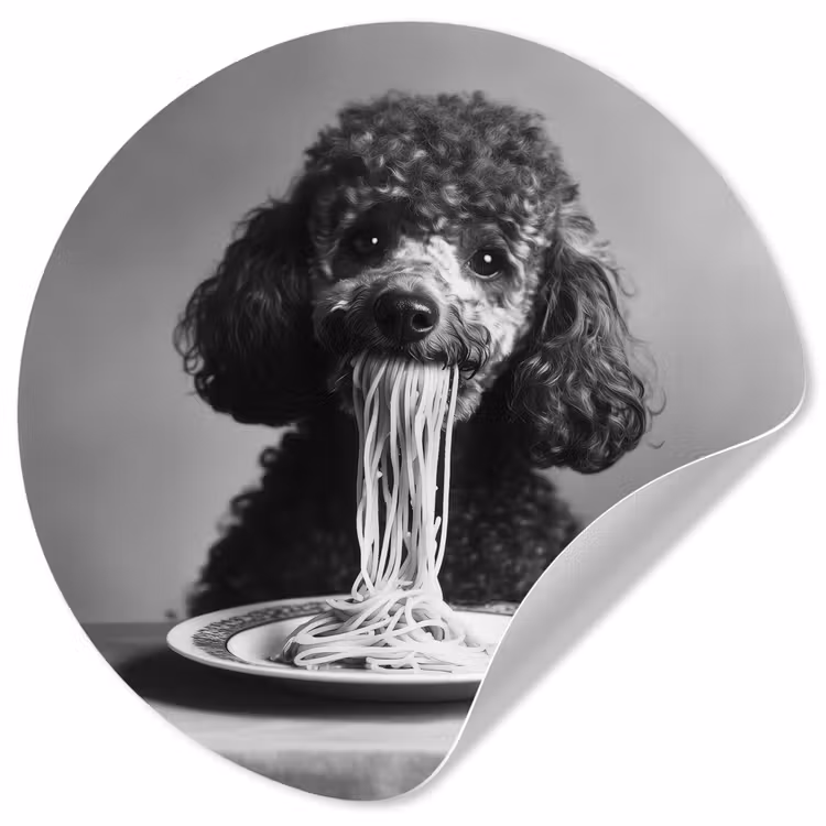 Behangcirkel - Poedel - Hond - Zwart - Wit - Schattig - Pasta — 1