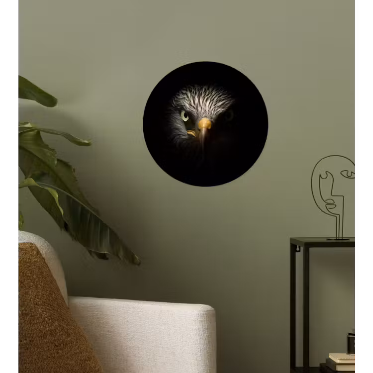 Behangcirkel - Vogel - Adelaar - Roofvogels - Oog - Snavel - Licht — 3
