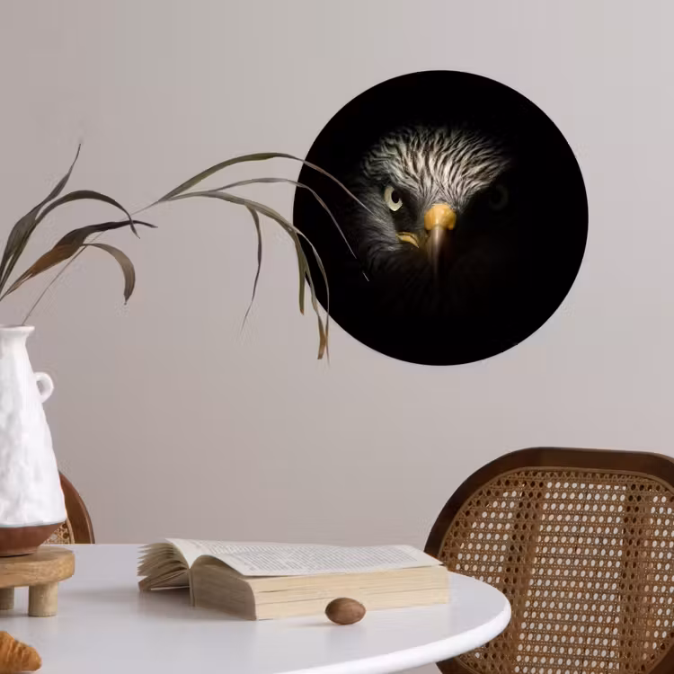 Behangcirkel - Vogel - Adelaar - Roofvogels - Oog - Snavel - Licht — 4