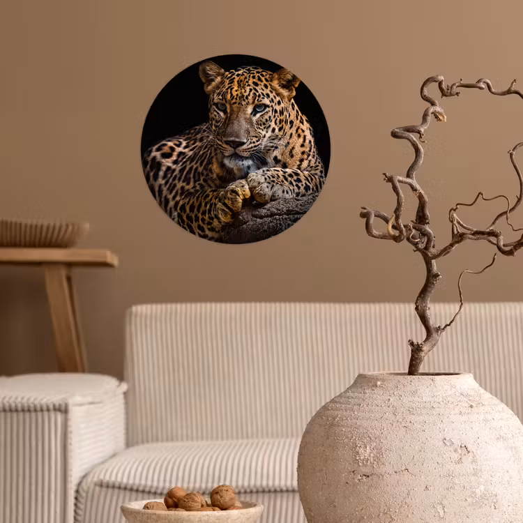 Behangcirkel - Wilde dieren - Panter - Portret - Zwart - Dieren — 2