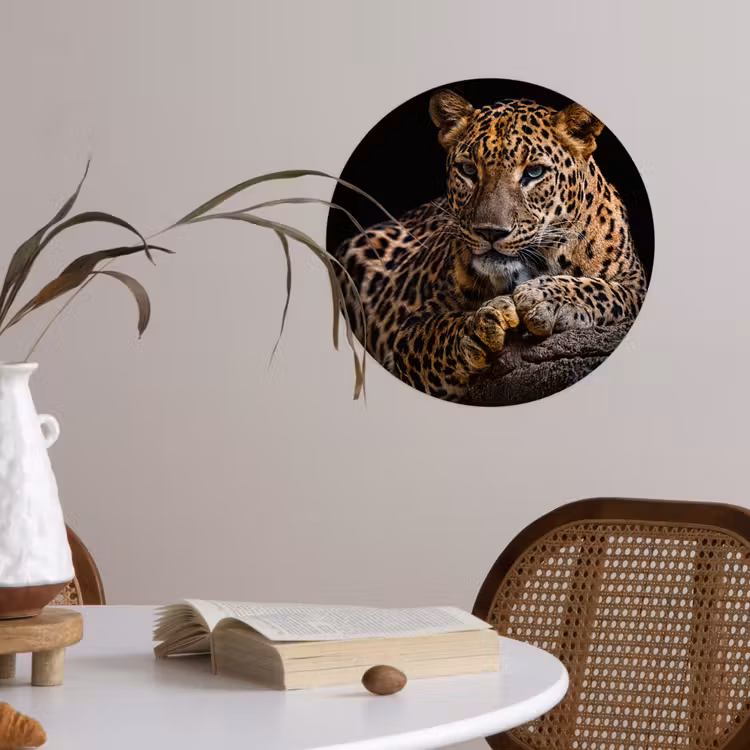 Behangcirkel - Wilde dieren - Panter - Portret - Zwart - Dieren — 4