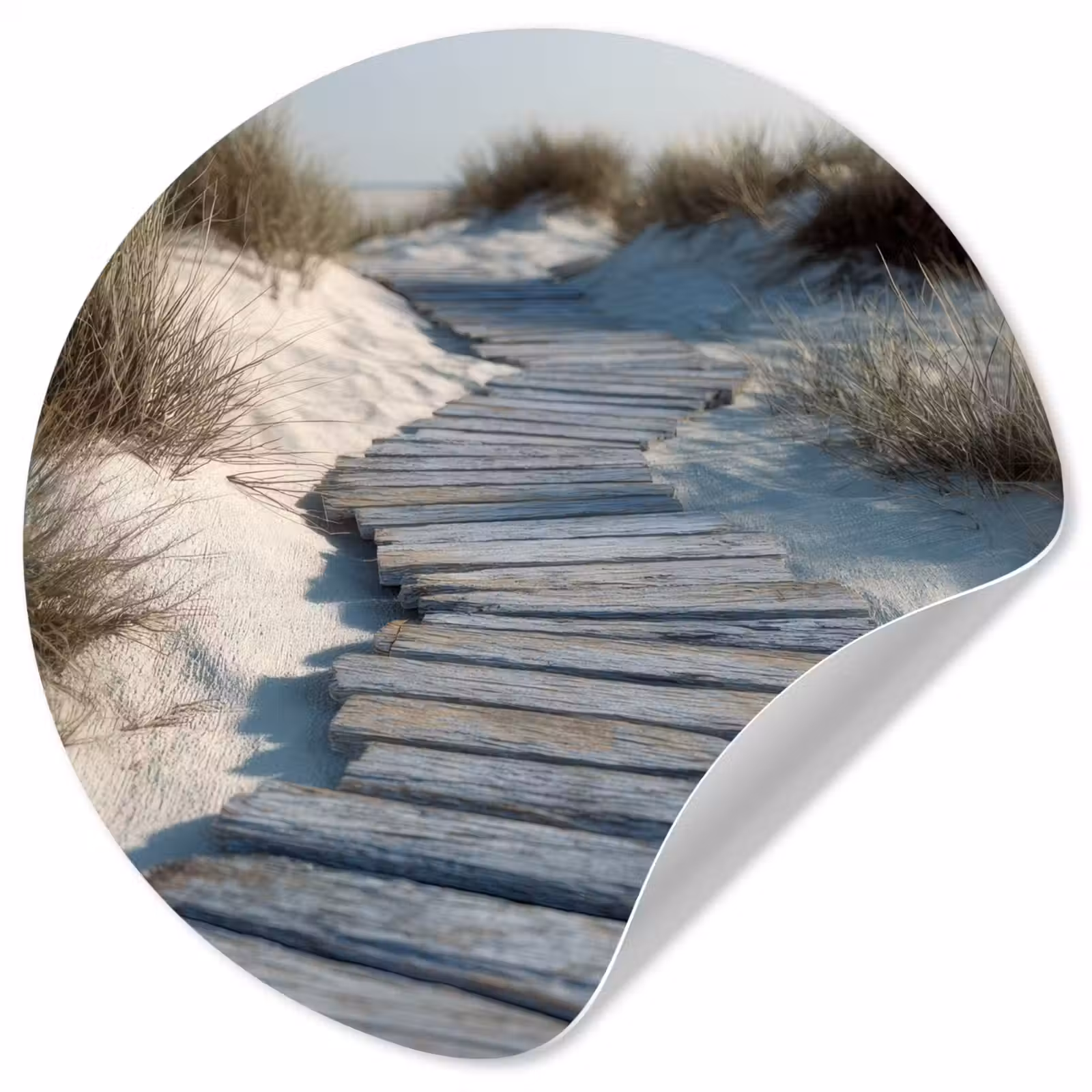 Behangcirkel - Pad - Planken - Duinen - Gras — 1