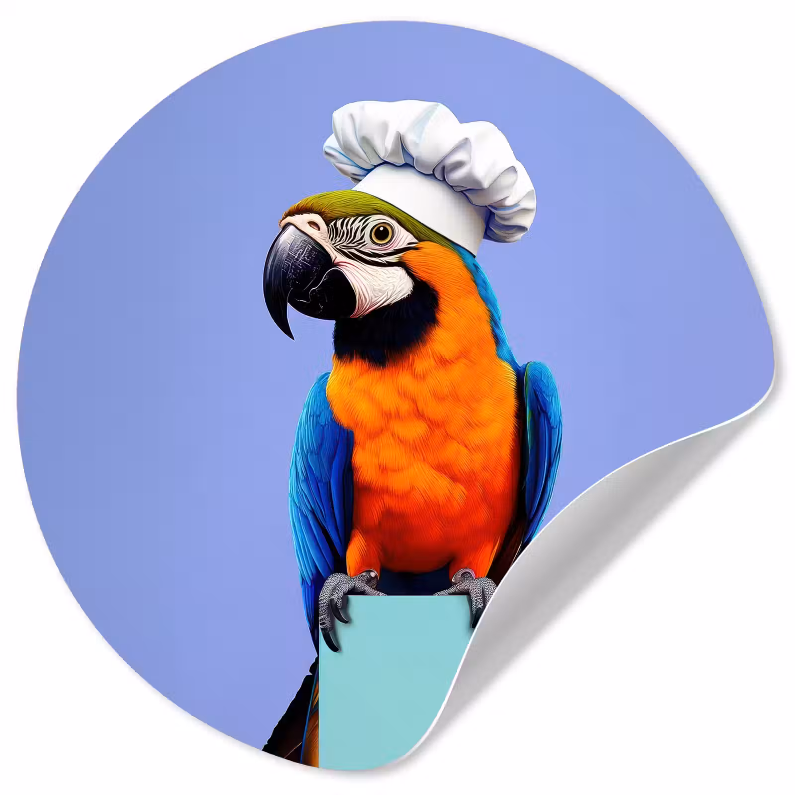 Behangcirkel - Papegaai - Koksmuts - Vogel - Leuk — 1