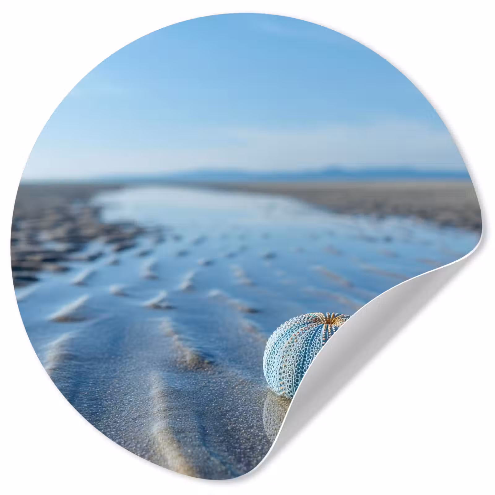 Behangcirkel - Strand - Schild - Water - Blauw — 1