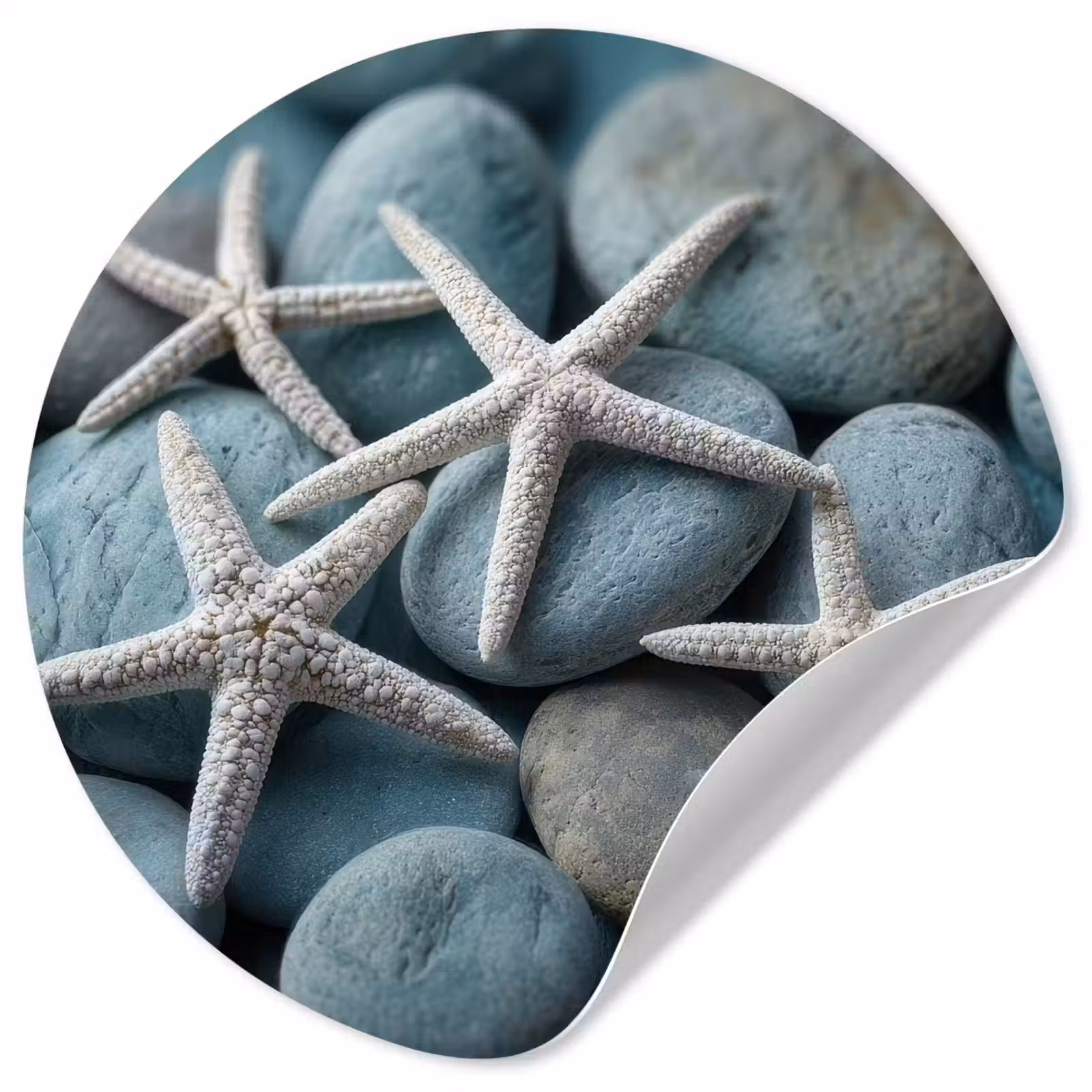 Behangcirkel - Zeesterren - Stenen - Wit — 1