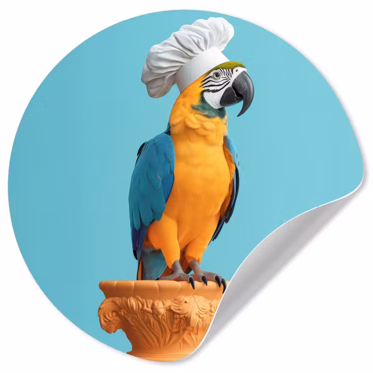Behangcirkel - Papegaai - Koksmuts - Grappig - Vogel — 1