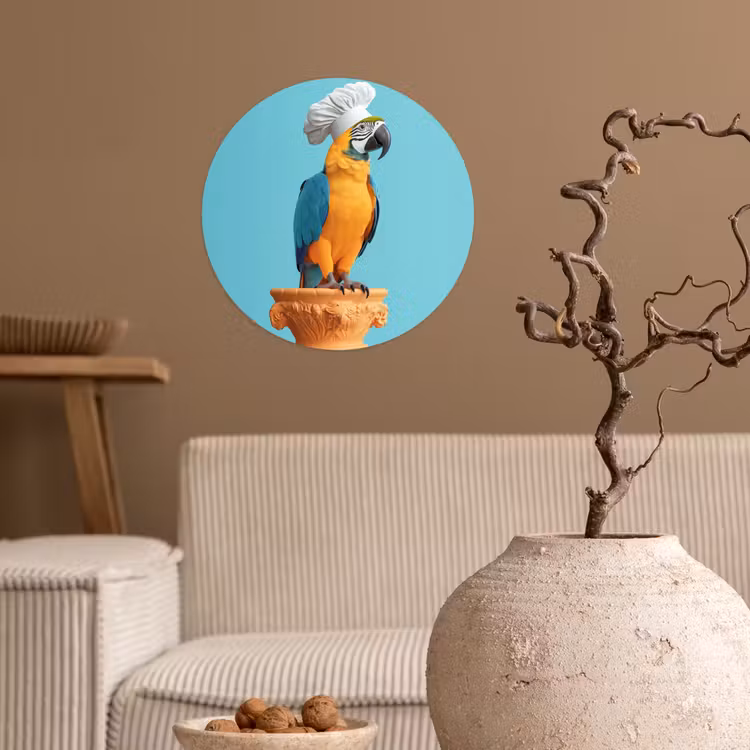 Behangcirkel - Papegaai - Koksmuts - Grappig - Vogel — 2