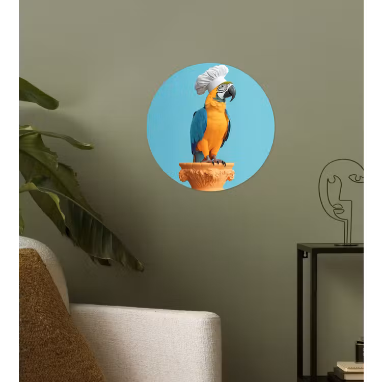 Behangcirkel - Papegaai - Koksmuts - Grappig - Vogel — 3