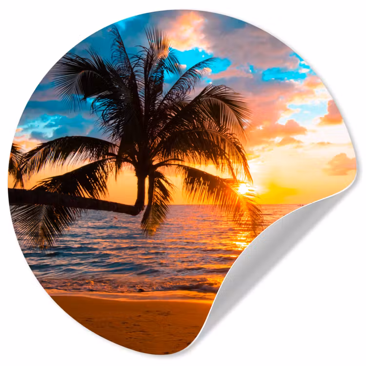 Behangcirkel - Palm - Zonsondergang - Horizon - Strand - Zee - Tropisch — 1