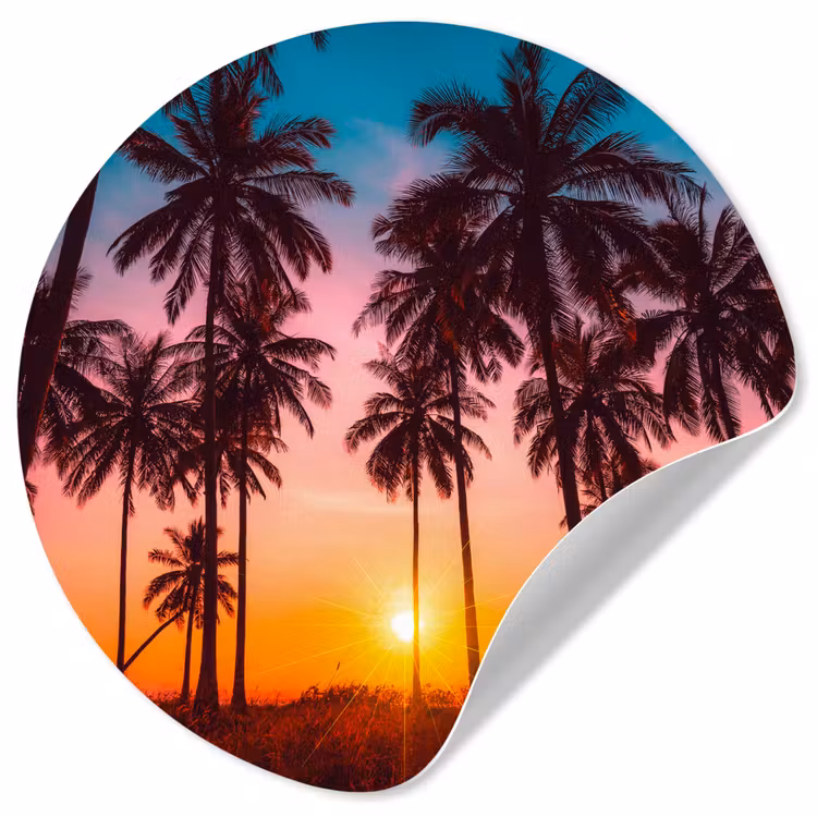 Behangcirkel - Palmboom - Zonsondergang - Horizon - Strand - Oranje - Roze — 1