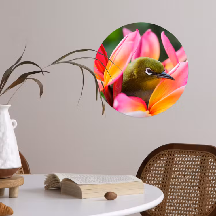 Behangcirkel - Tropische vogel tussen roze bloem — 4