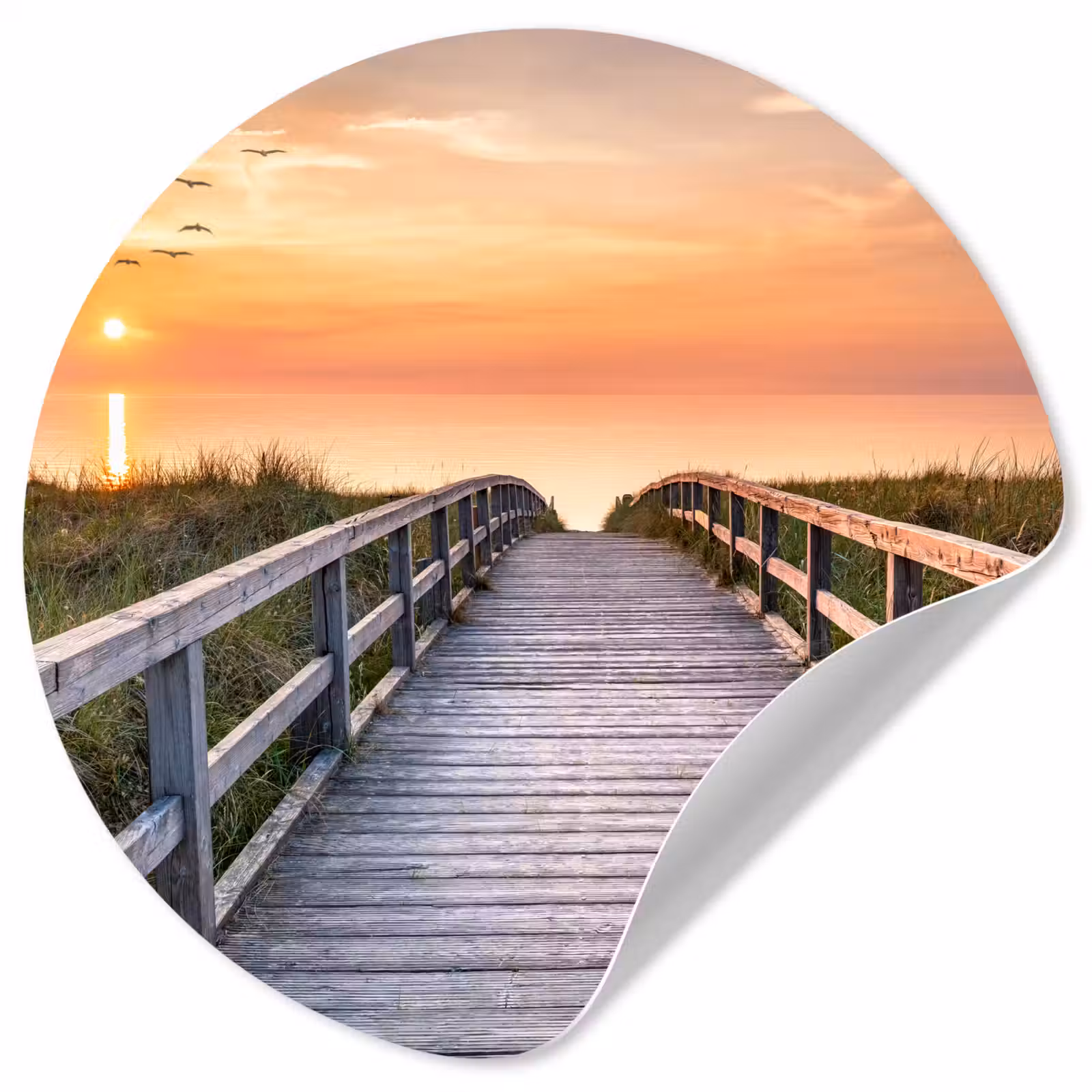 Behangcirkel - Zonsonderang - Zee - Pad - Gras - Duin - Vogels — 1