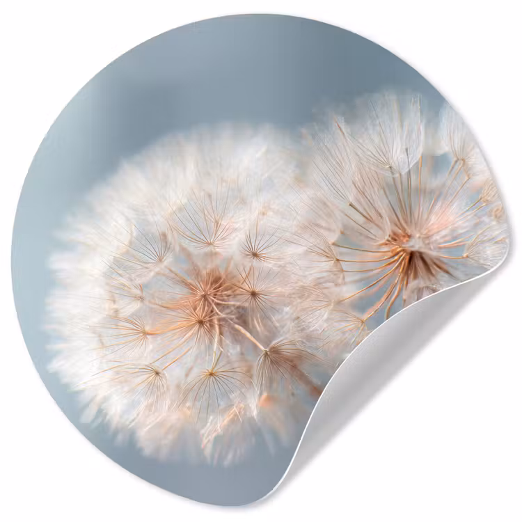 Behangcirkel - Paardenbloemen - Pluisjes - Wit — 1
