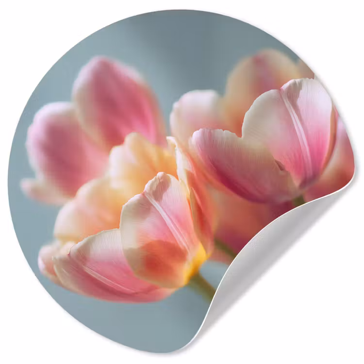 Behangcirkel - Tulpen - Roze - Stelen — 1