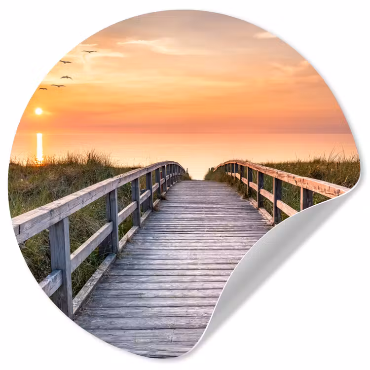Behangcirkel - Zonsonderang - Zee - Pad - Gras - Duin - Vogels — 1