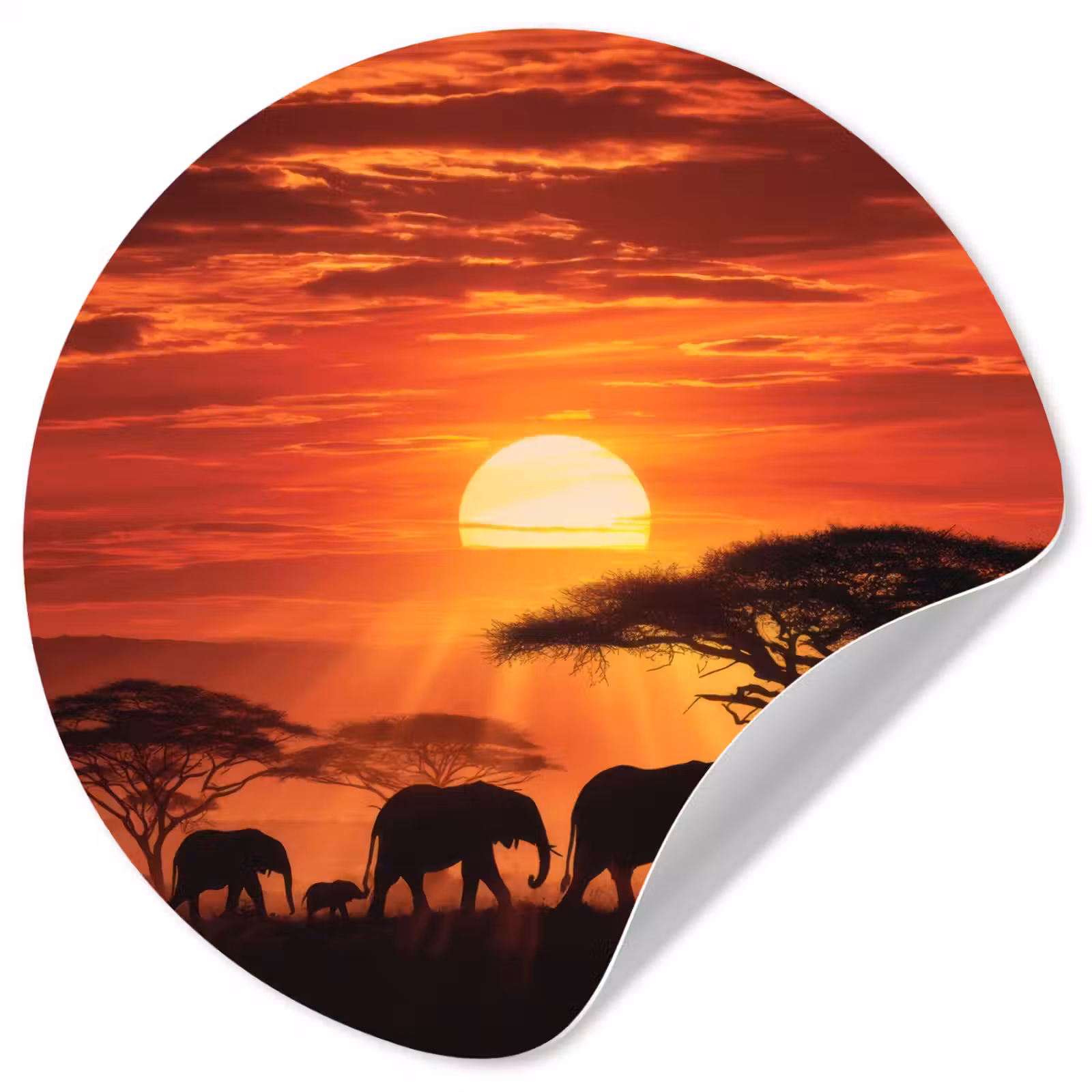 Behangcirkel - Savanne - Olifanten - Zonsondergang — 1